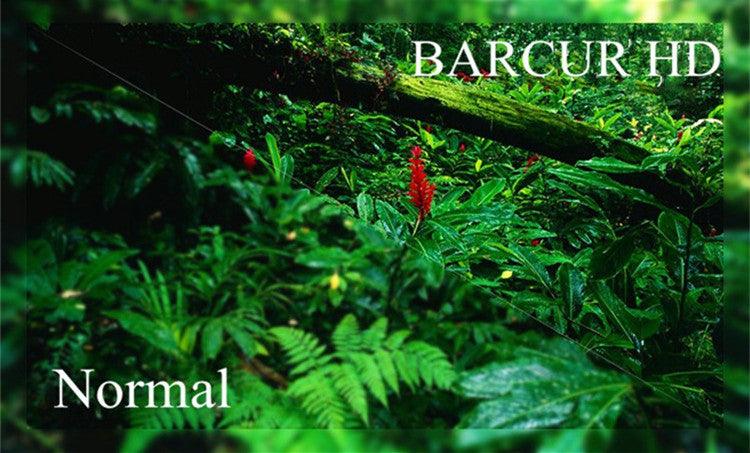 BARCUR Bamboo Sunglasses Carauana Store