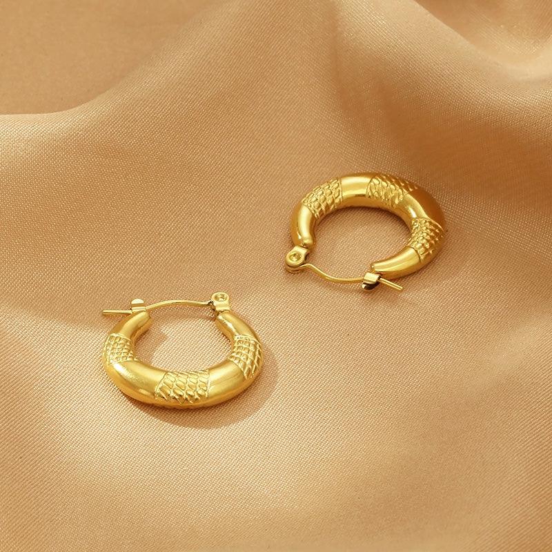 Titanium Steel Hoop Earrings