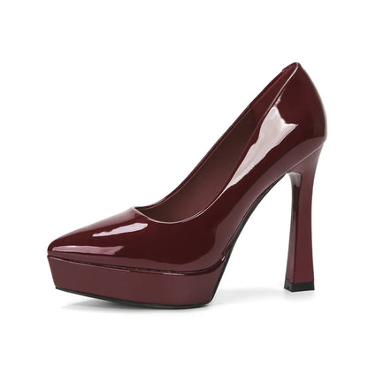 Point Toe High Heel Pumps Carauana Store